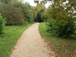 Image on trail